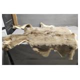 Deer Hide - Tanned