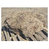Landscape Rock