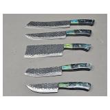 5pc High Carbon Chef Set