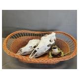 Basket w/ 2 Horse Skulls, Frog