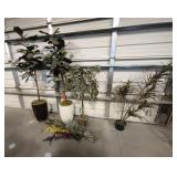 Home Decor - Faux Plants & Flowers