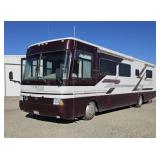*2003 Safari Cheetah 37