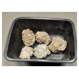 Rocks