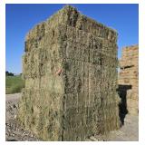 10 bales of 2nd Cutting Alfalfa Hay