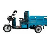 Dumping Electric Tricycle ET13 *Assembly Required