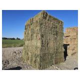 10 bales of 2nd Cutting Alfalfa Hay