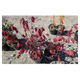 2 -- Fire Ball Burning Bush