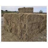 10 Bales of 2nd Cutting Alfalfa Hay