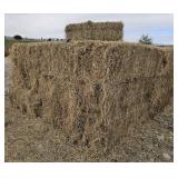 10 Bales of 2nd Cutting Alfalfa Hay