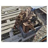 Variety of Fox and Coyote Traps