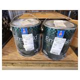 2 - Gallons of Paint