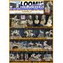 ONLINE ESTATE CIVIL WAR, OLD WEST, WILDLIFE SCULPTURES