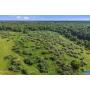 FORECLOSURE: 103.27 AC in Culpeper, VA