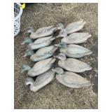 10 Duck Decoys