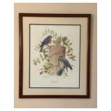 Framed "Bluebird Feeding Time" by Charles