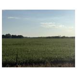 64 +/- ACRE FARM