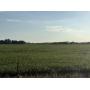 64 +/- ACRES