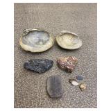 Lot of Misc Rocks Shells Including Fossil