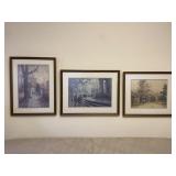 Set of 3 Framed Vintage Nature City Prints