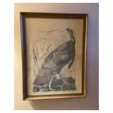 Vintage Framed Turkey Print Wall Hanging