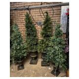 Group of 4 Pre Lit Medium Christmas Trees