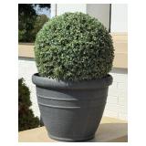 Large Ceramic Planter