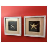 Framed Starfish