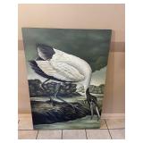 White Wood Ibis Bird Framed Art Print