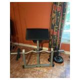 Curl Bench Weights & Bar Exercise Equipment