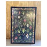 Seasonal Greens Large Framed Vegetable Print