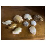 Miniature Hand Carved Turtles