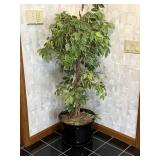 Large Faux Tree with Planter