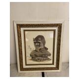 Gene Gray Racoon Framed Print Numbered