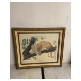 Gene Gray Cougar Framed Print Numbered