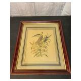 Wood Framed Vintage Bird Print