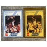 Michael Jordan 89 Collegiate Collection