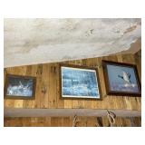 Deer & Duck Pictures