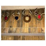 Mounted Antlers
