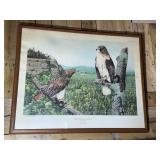 "Red Tailed Hawk" by Spaulding