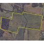 85.3+/- ACRE FARM-SOLD PRIOR TO AUCTION PER SELLER'S REQUEST