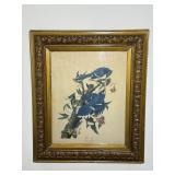 Framed Artwork "Blue Jay" by John James Audubon
