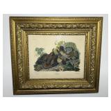 Framed Artwork "Ruffed Grouse" by John James