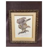 Framed Artwork "Long-Eared Owl" by Guy Coheleach