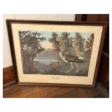 Framed Artwork - 'Yellow Shank' by John James