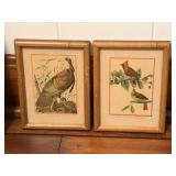 Framed Artwork - 'Wild Turkey & Cardinals' by