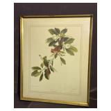 Framed Artwork "Cardinal" by Roger Peterson