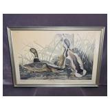 Framed Artwork "Mallard Duck" by John James