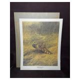 Artwork "Short Eared Owl" by Guy Coheleach