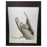 Artwork " Screech Owls" by Guy Coheleach