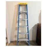 Werner 6ft Ladder